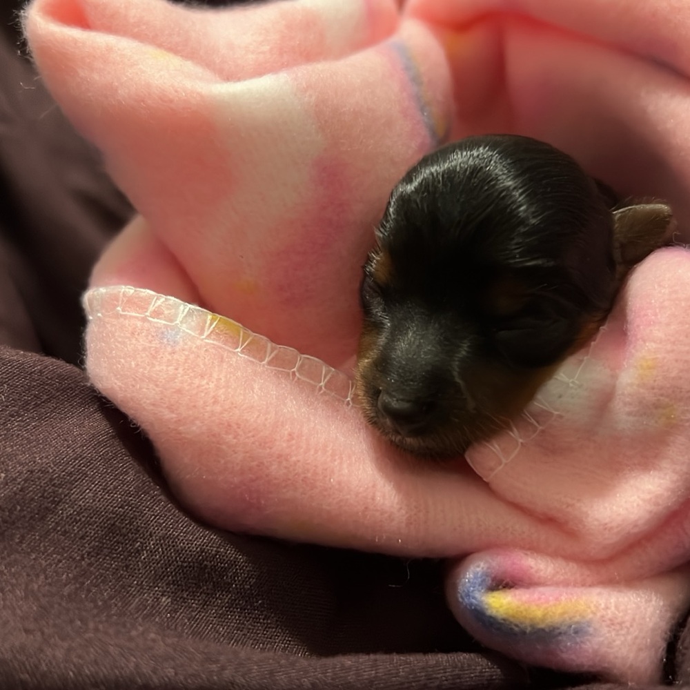 Meet your Posher, Erica